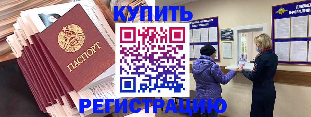 где прописаться в Нелидово